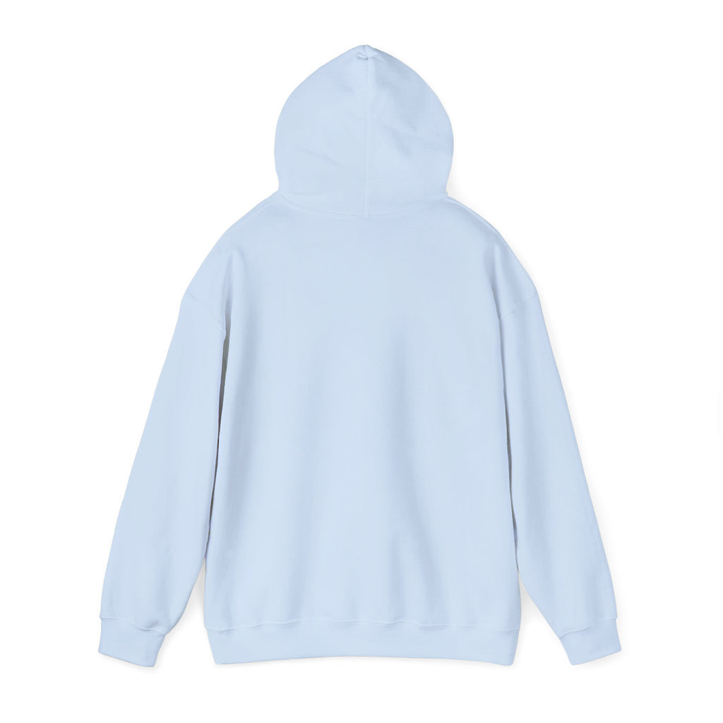 Sarcasm University Hooded Sweatshirt