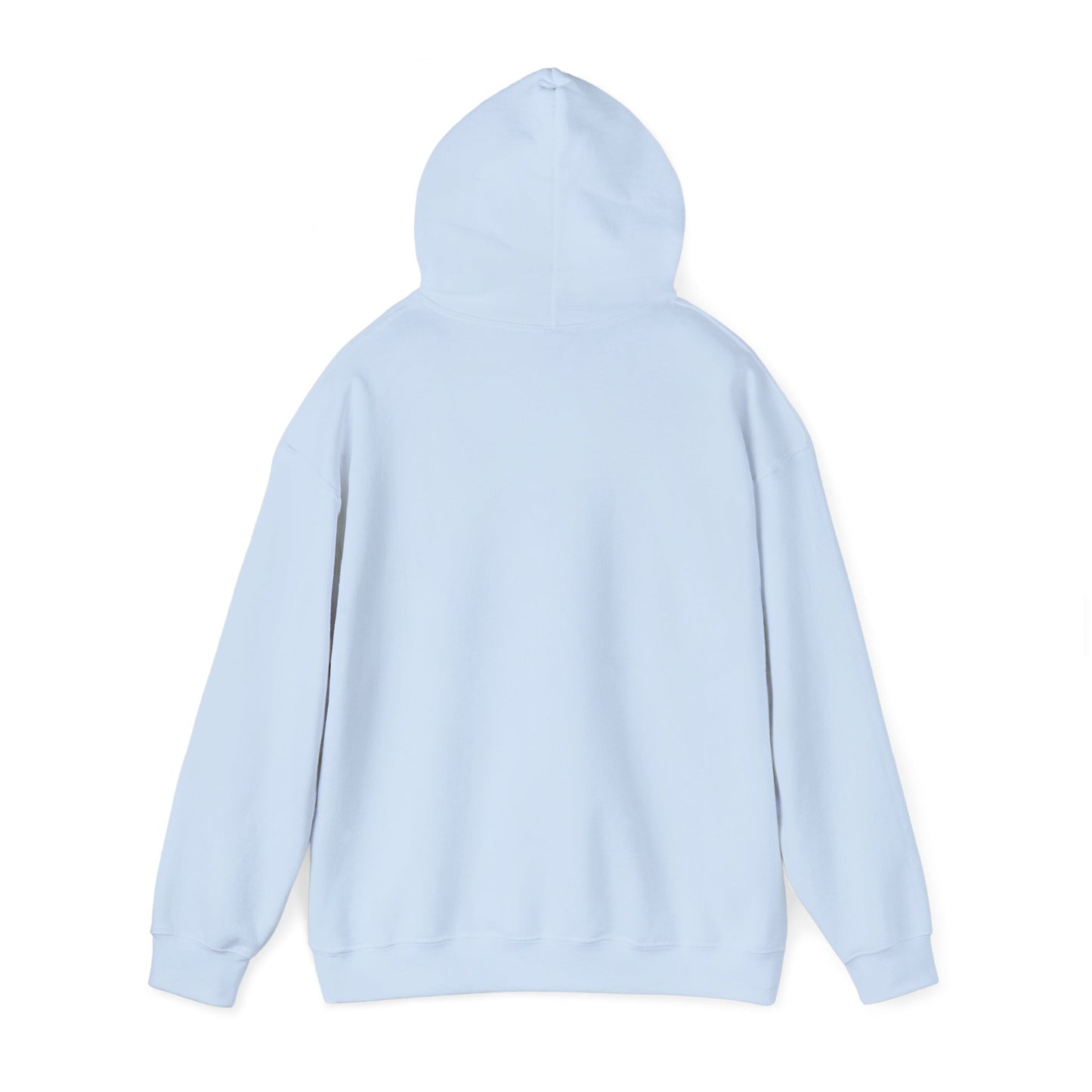 Sarcasm University Hooded Sweatshirt