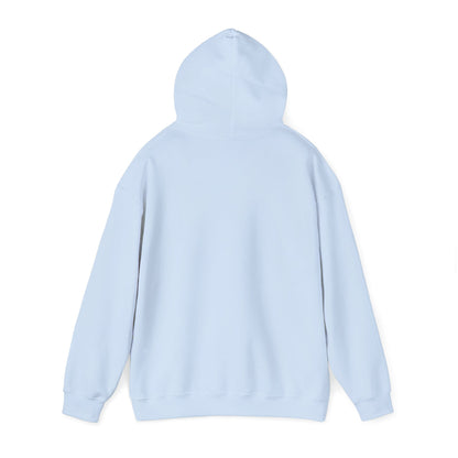 Sarcasm University Hooded Sweatshirt