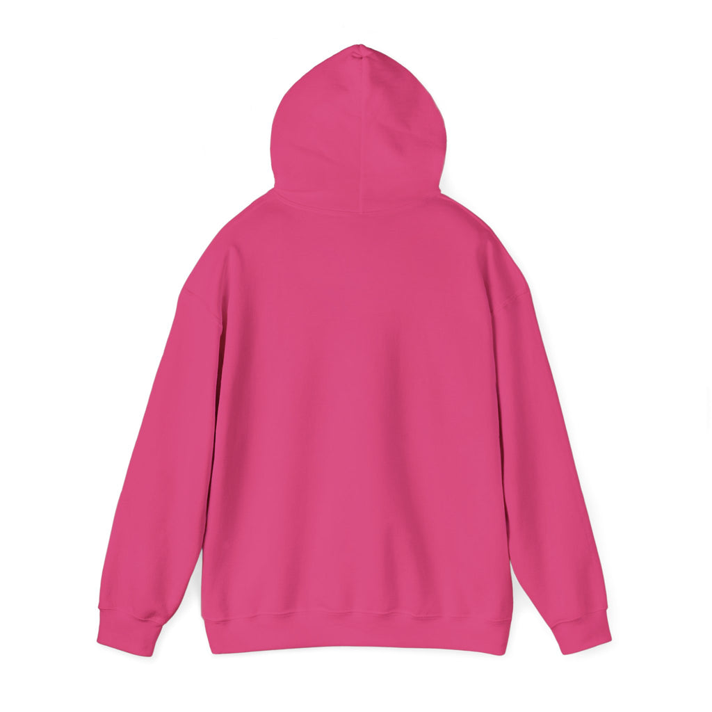 Sarcasm University Hooded Sweatshirt