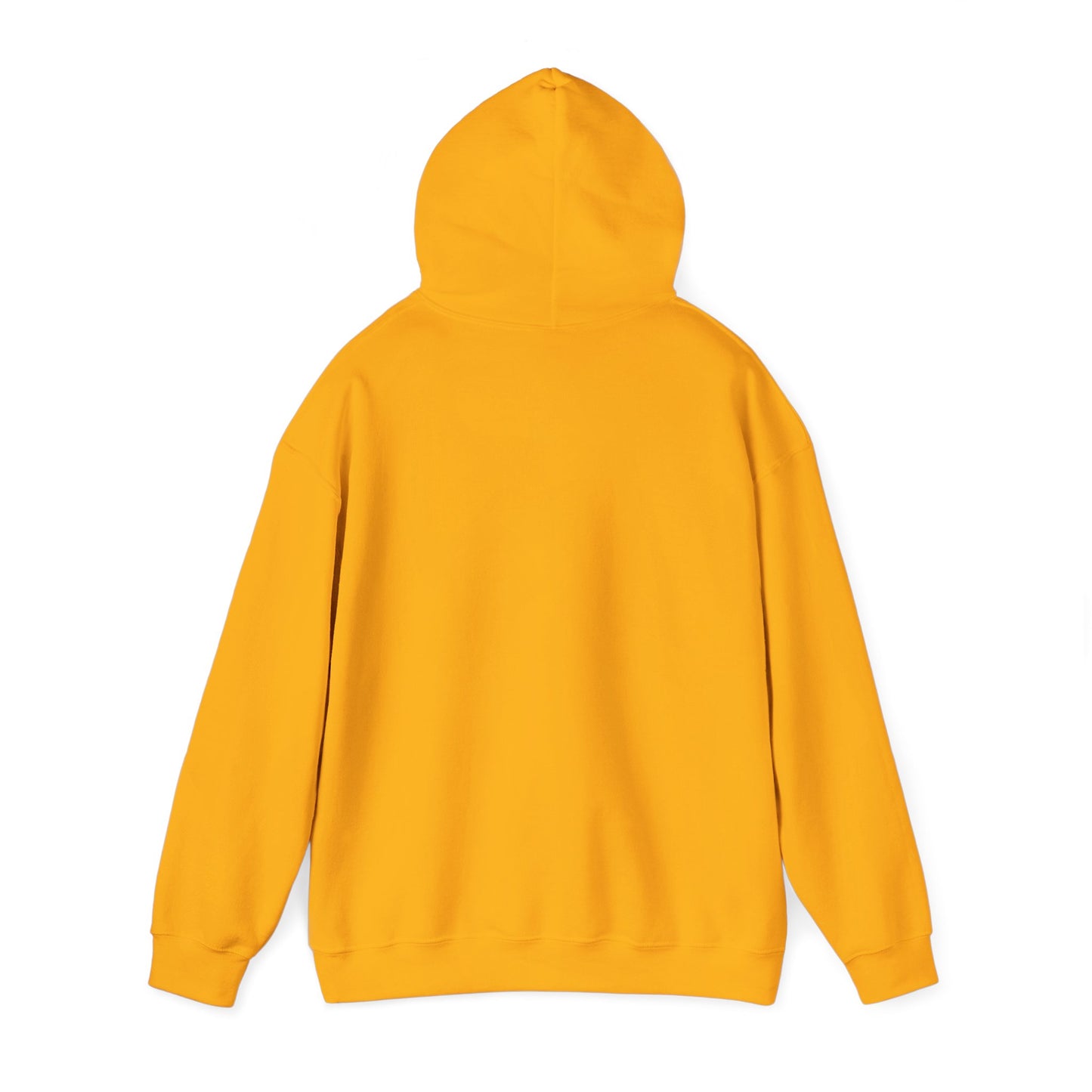 Sarcasm University Hooded Sweatshirt