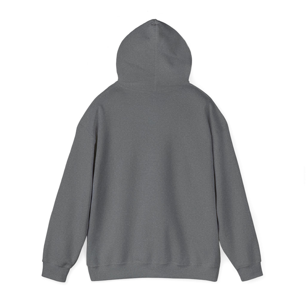 Sarcasm University Hooded Sweatshirt