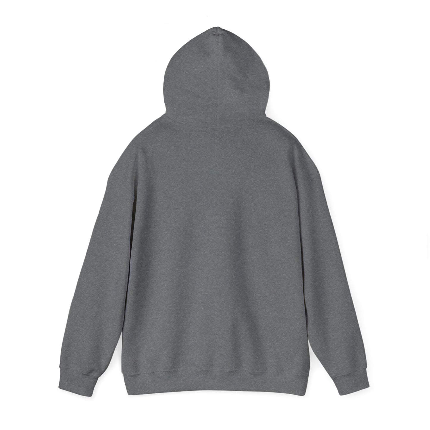 Sarcasm University Hooded Sweatshirt