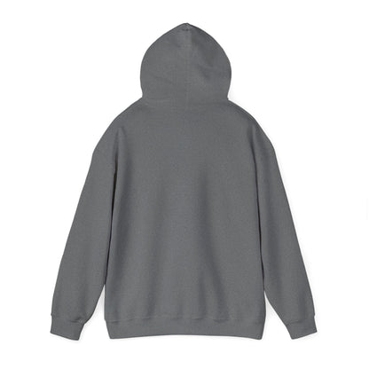 Sarcasm University Hooded Sweatshirt