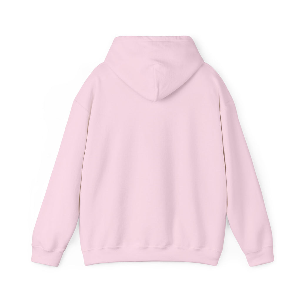 Sarcasm University Hooded Sweatshirt