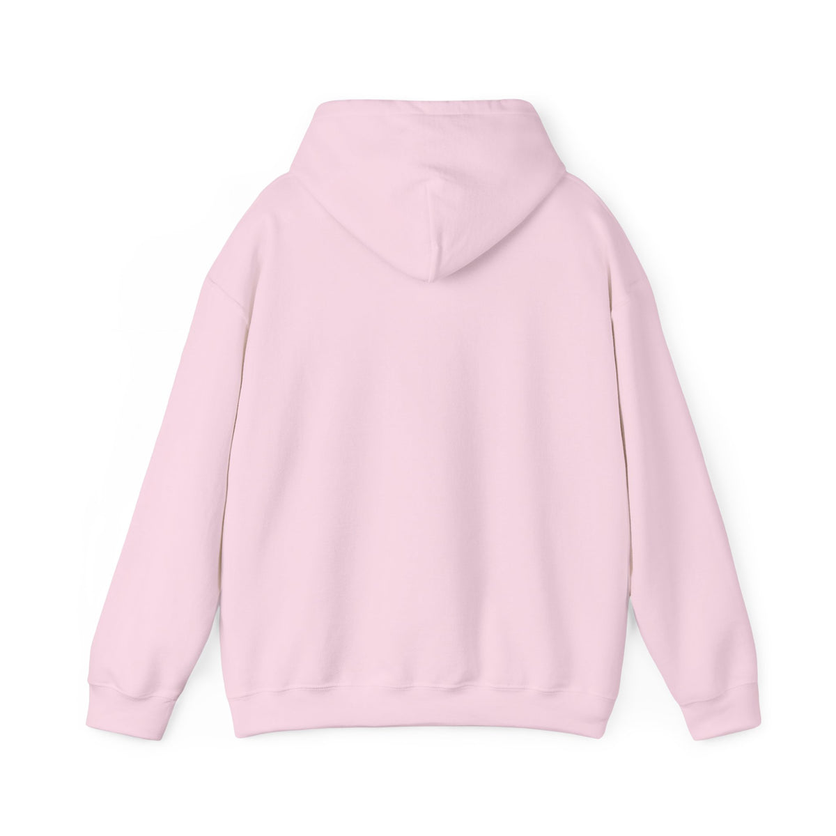 Sarcasm University Hooded Sweatshirt