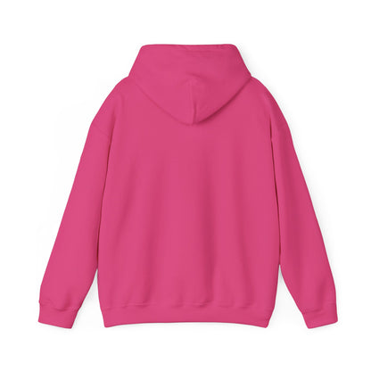 Sarcasm University Hooded Sweatshirt