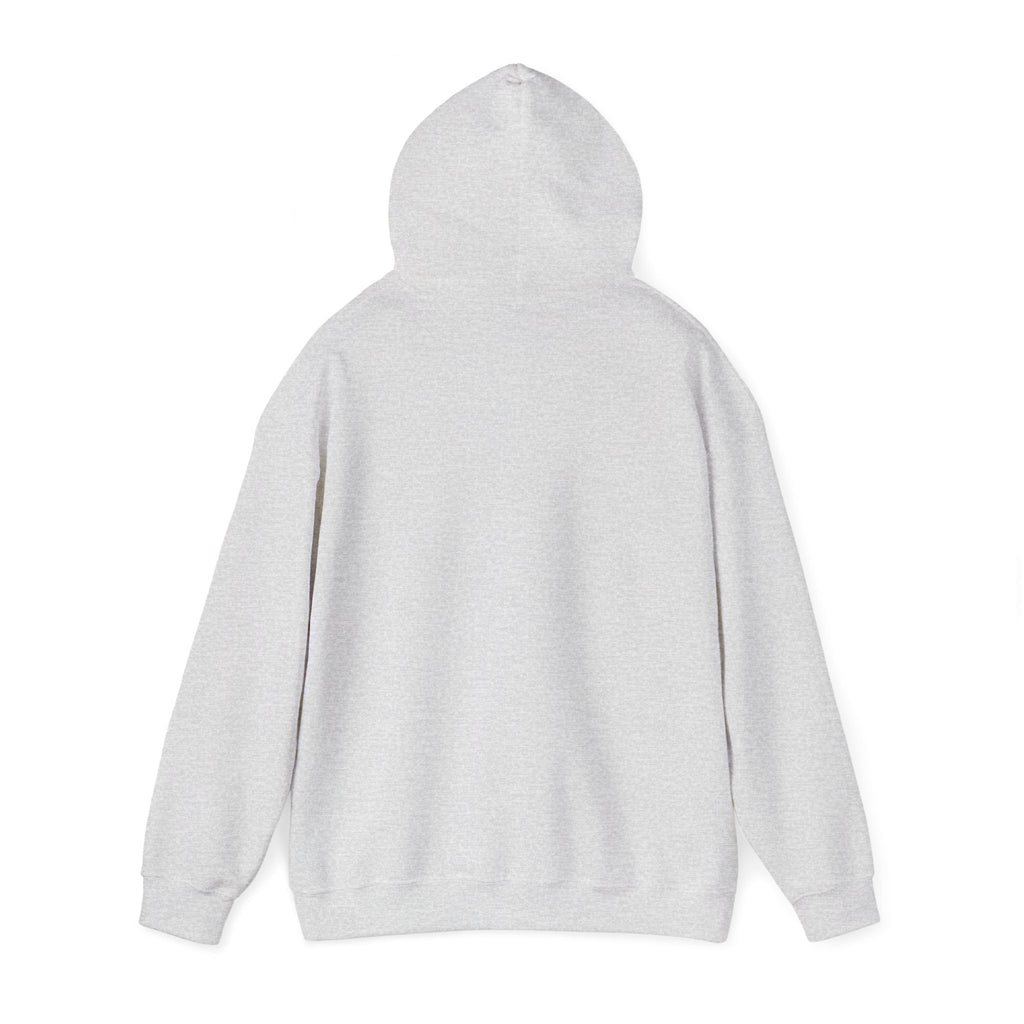 Sarcasm University Hooded Sweatshirt