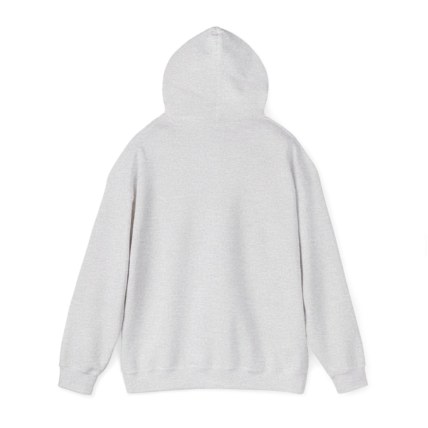 Sarcasm University Hooded Sweatshirt