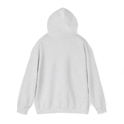 Sarcasm University Hooded Sweatshirt