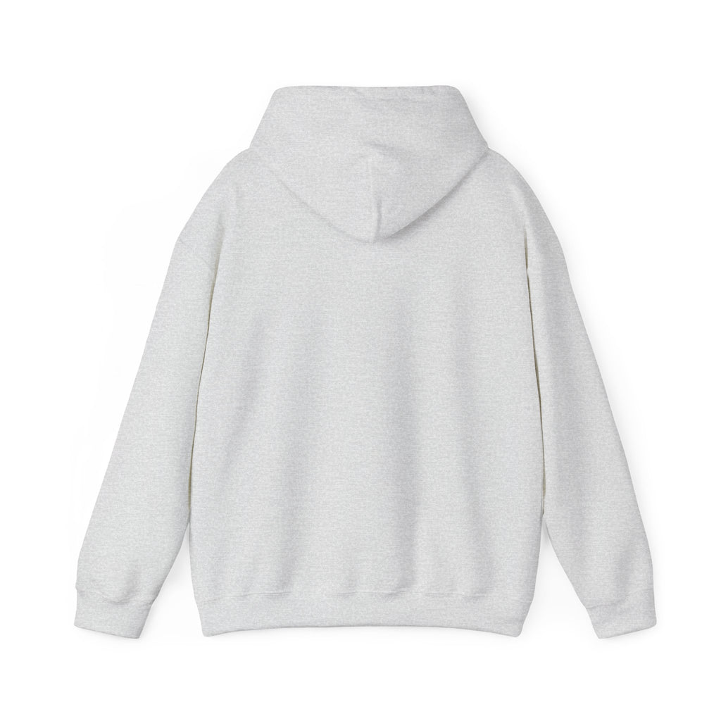 Sarcasm University Hooded Sweatshirt