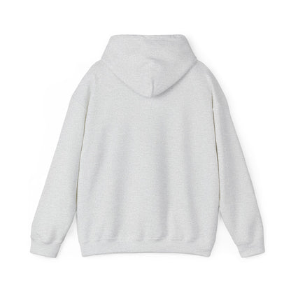 Sarcasm University Hooded Sweatshirt