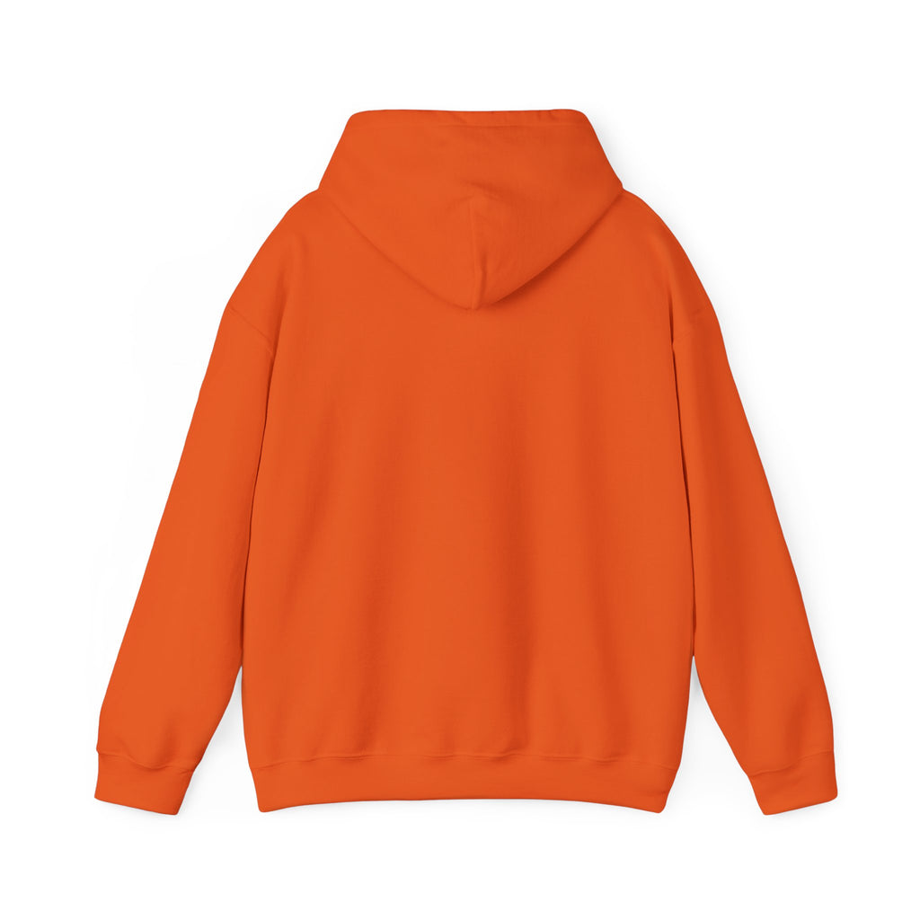 Sarcasm University Hooded Sweatshirt