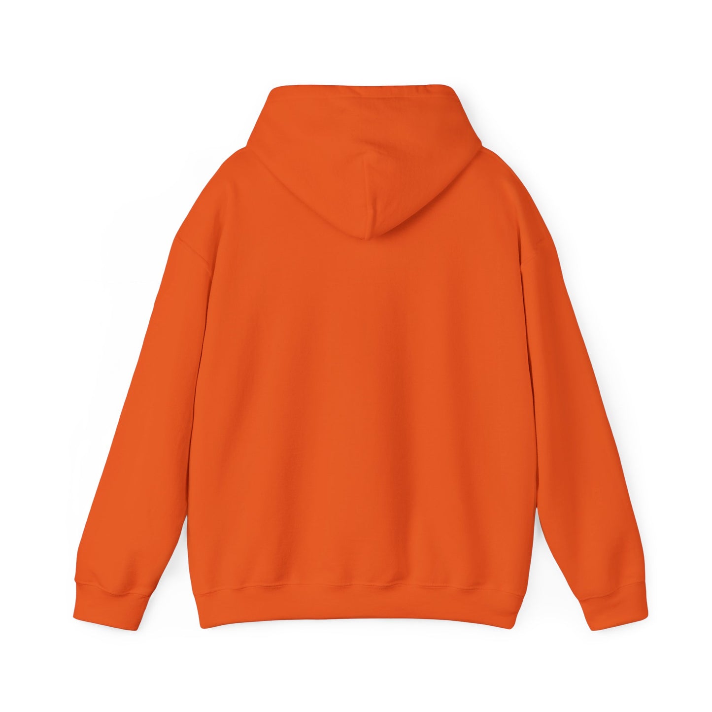 Sarcasm University Hooded Sweatshirt