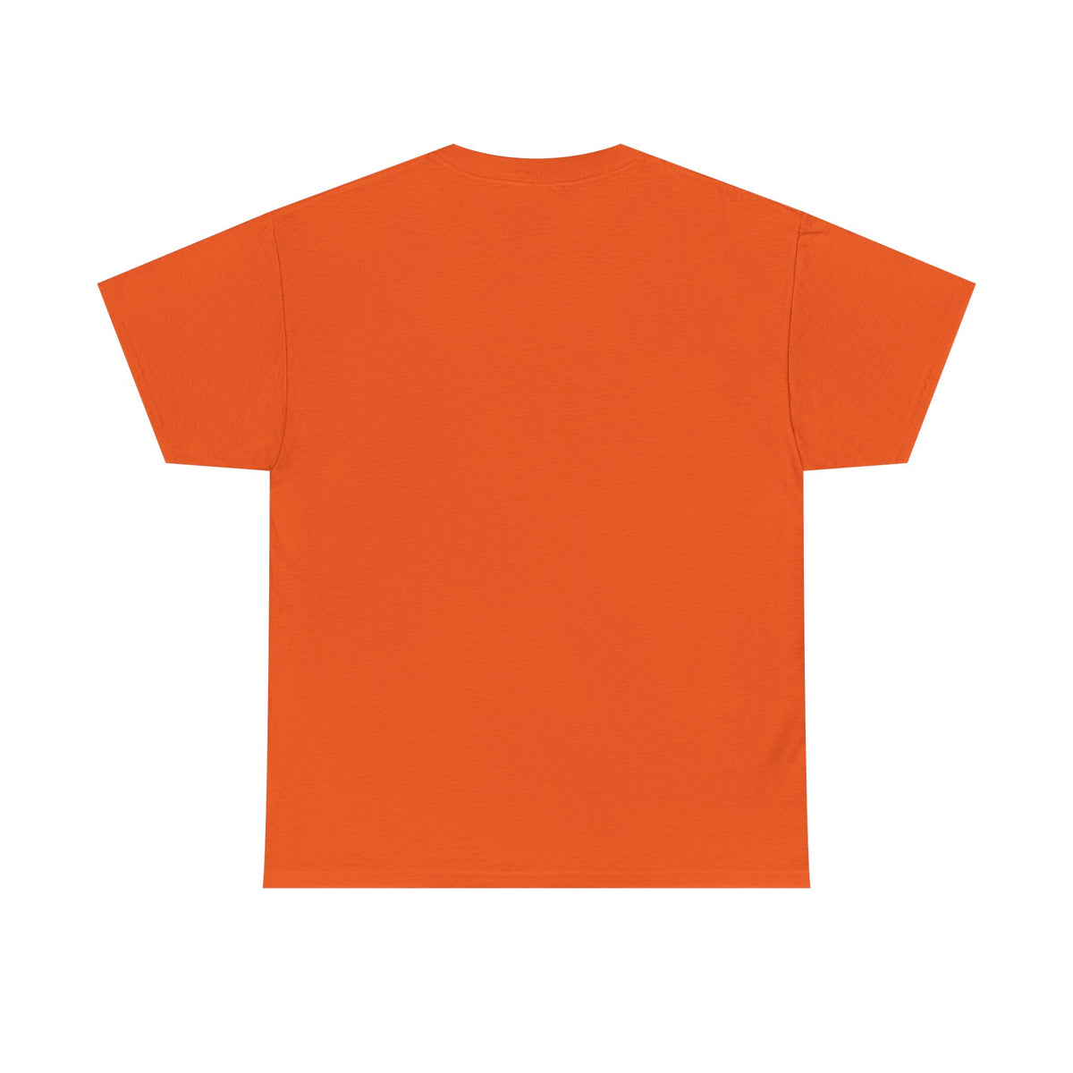 Jesus Leopard Print T-Shirt — John 4:6 Faith Tee