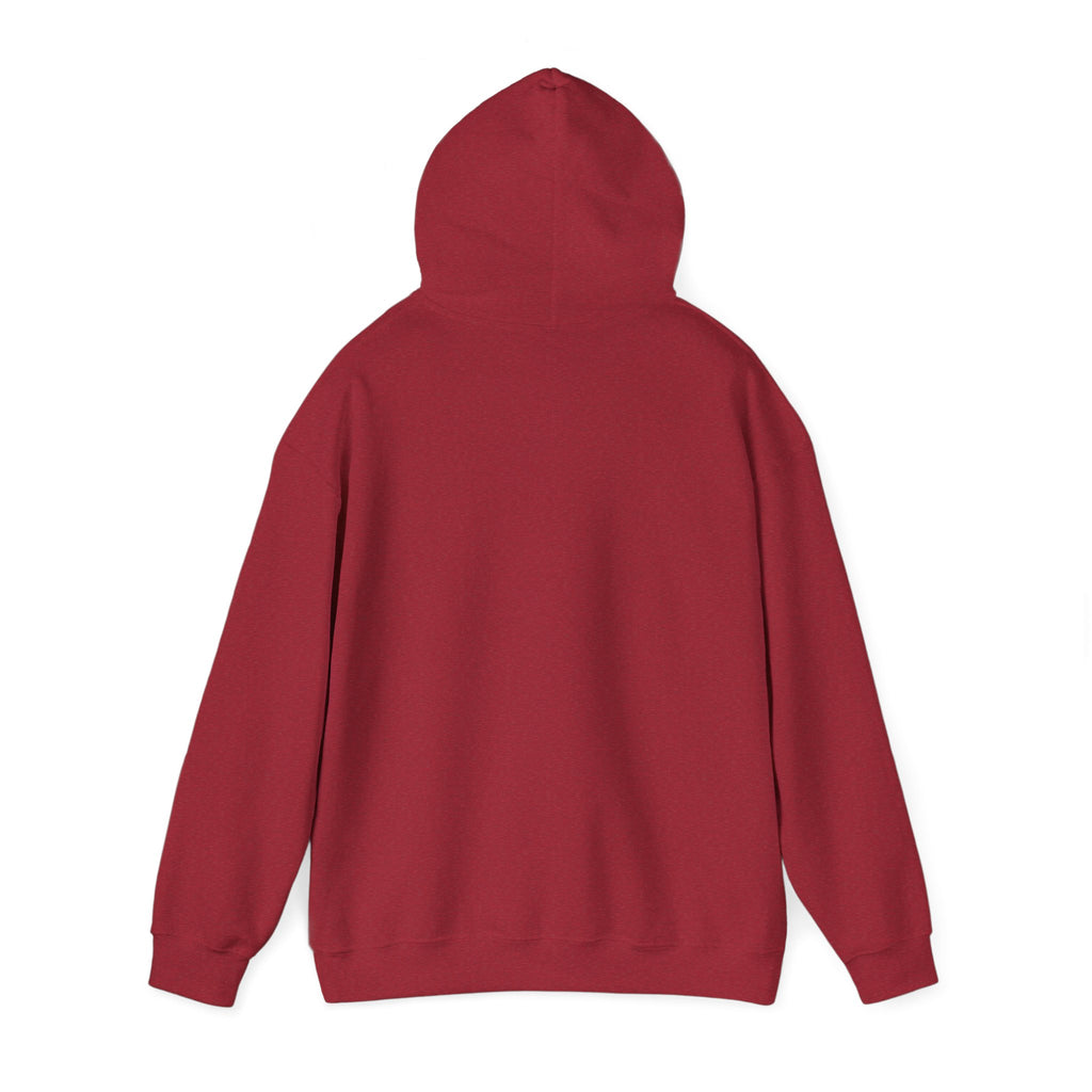 Sarcasm University Hooded Sweatshirt