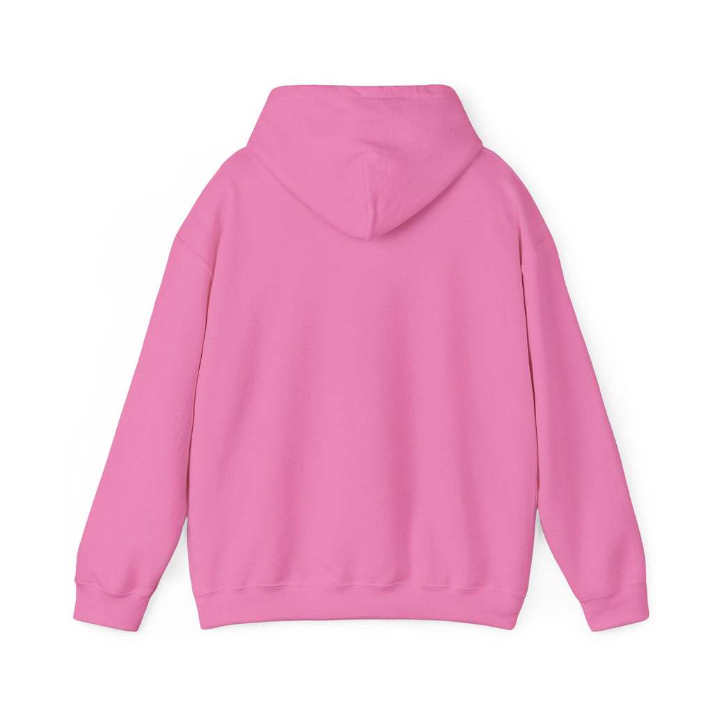 Sarcasm University Hooded Sweatshirt