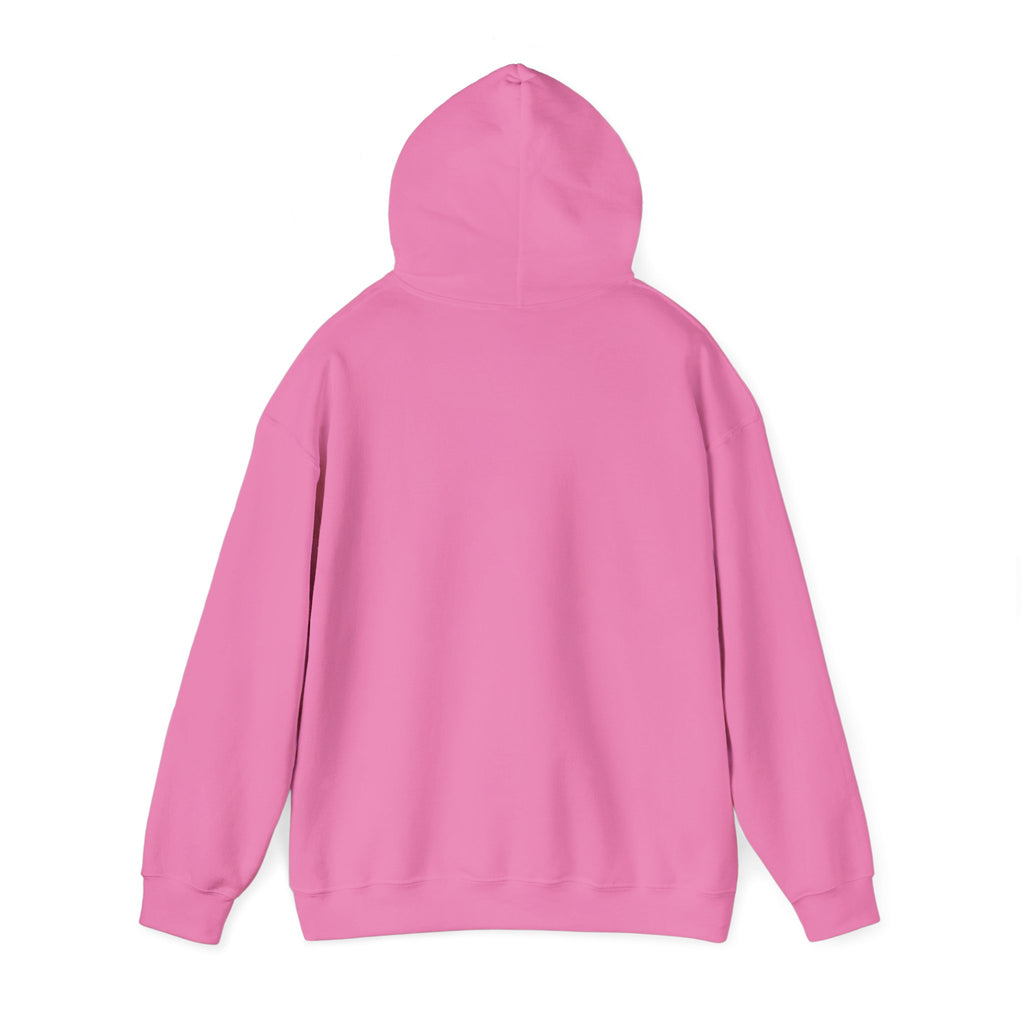 Sarcasm University Hooded Sweatshirt