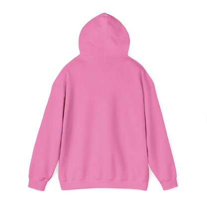 Sarcasm University Hooded Sweatshirt