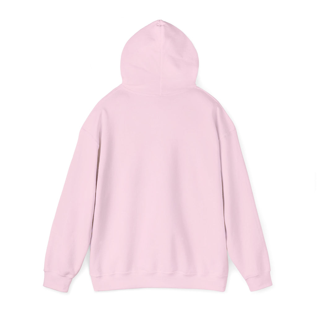 Sarcasm University Hooded Sweatshirt