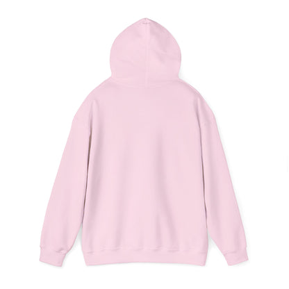 Sarcasm University Hooded Sweatshirt