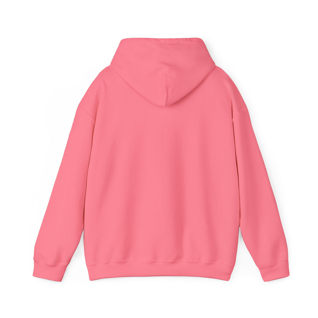Sarcasm University Hooded Sweatshirt
