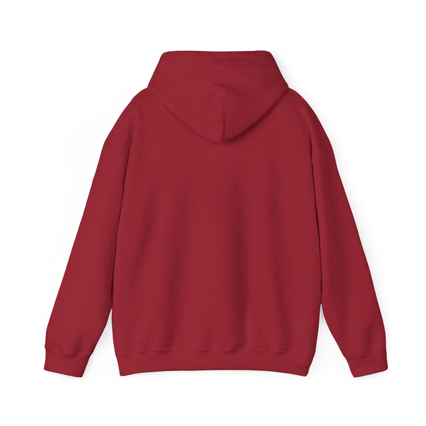 Sarcasm University Hooded Sweatshirt