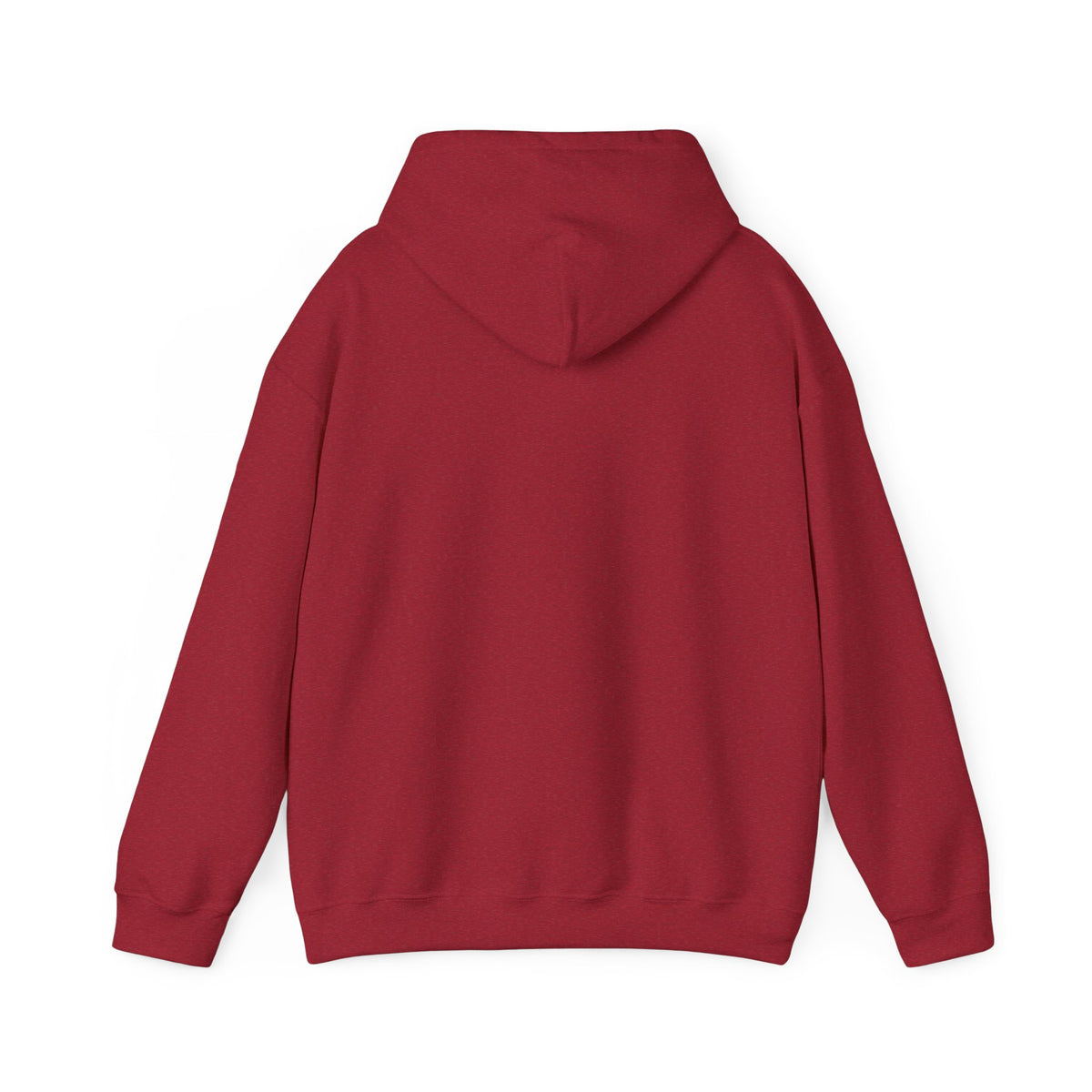 Sarcasm University Hooded Sweatshirt